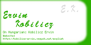 ervin kobilicz business card